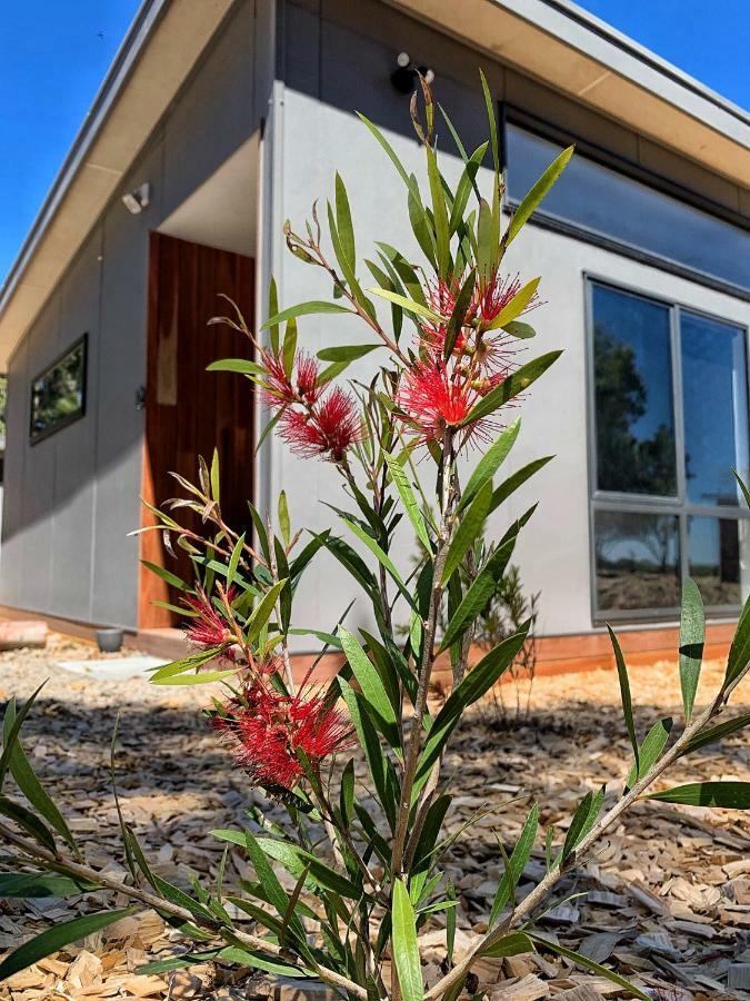 By Moonlight Apartamento Wattle Hill Exterior foto